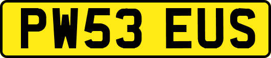 PW53EUS