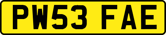 PW53FAE
