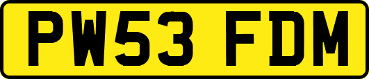 PW53FDM