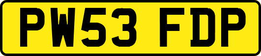 PW53FDP
