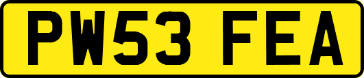 PW53FEA
