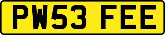 PW53FEE