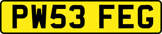 PW53FEG