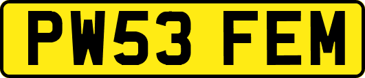 PW53FEM