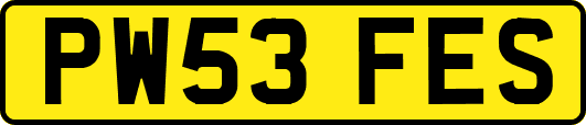 PW53FES