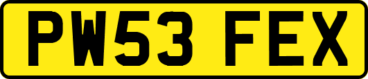 PW53FEX