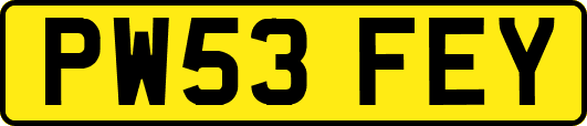 PW53FEY