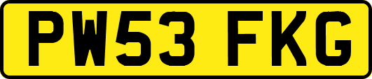 PW53FKG