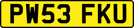 PW53FKU