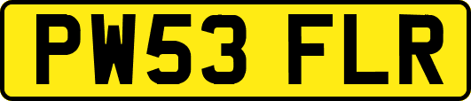 PW53FLR