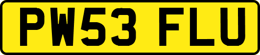 PW53FLU
