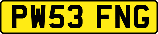 PW53FNG