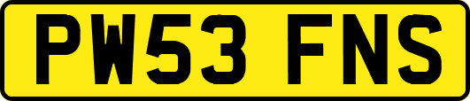 PW53FNS