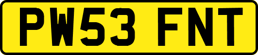PW53FNT