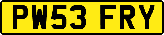 PW53FRY
