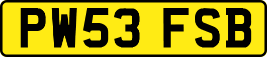 PW53FSB
