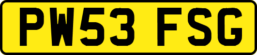 PW53FSG