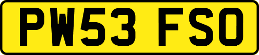 PW53FSO