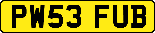PW53FUB