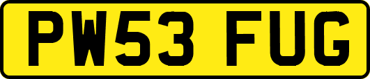 PW53FUG