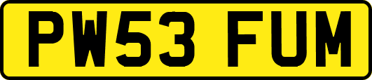 PW53FUM