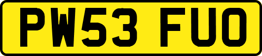 PW53FUO