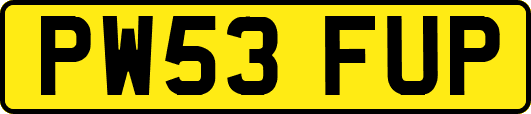 PW53FUP