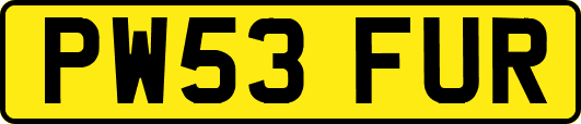 PW53FUR