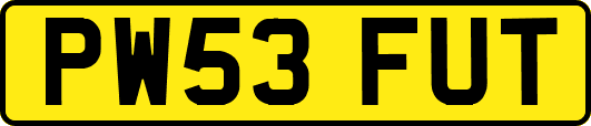 PW53FUT