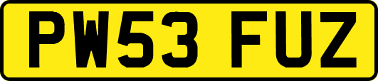 PW53FUZ