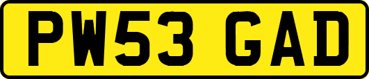 PW53GAD