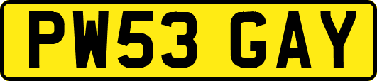 PW53GAY