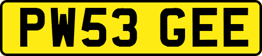 PW53GEE