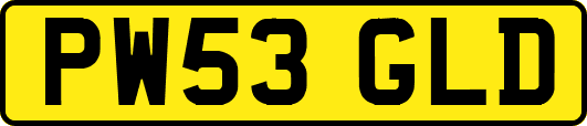PW53GLD