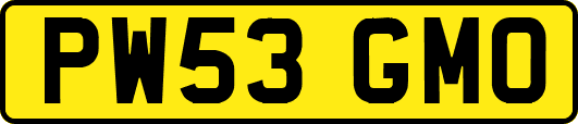PW53GMO