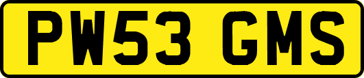 PW53GMS