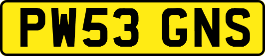 PW53GNS