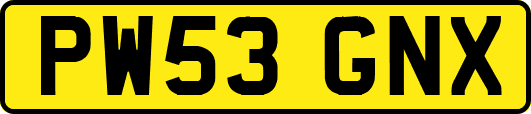 PW53GNX