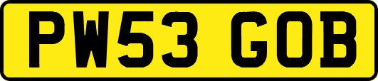PW53GOB