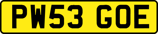 PW53GOE