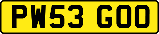 PW53GOO