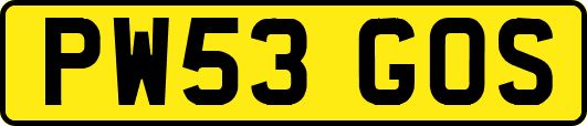 PW53GOS
