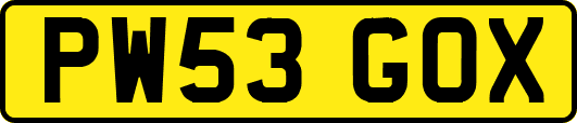 PW53GOX