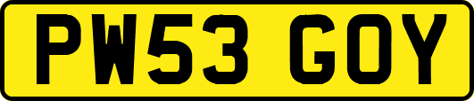 PW53GOY