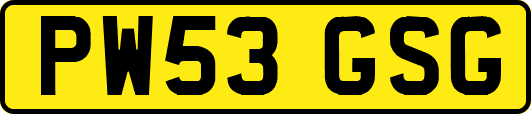 PW53GSG
