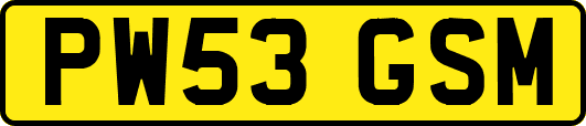 PW53GSM