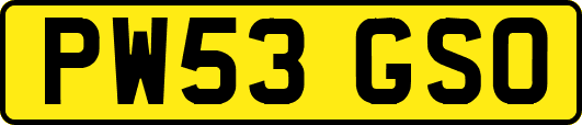 PW53GSO