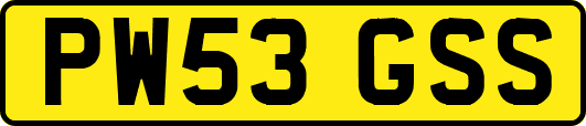 PW53GSS