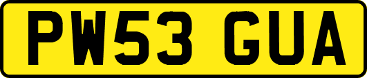 PW53GUA