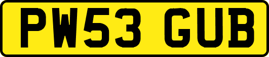 PW53GUB